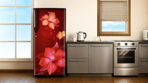 best refrigerators in India